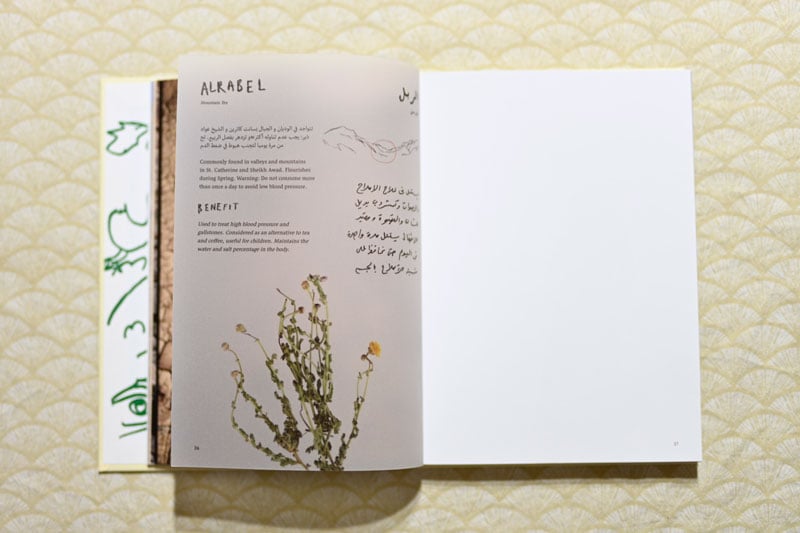 Extract from a photobook by Rehab Eldalil. Handwritten text features on one side with illustrative flowers and some Arabic text