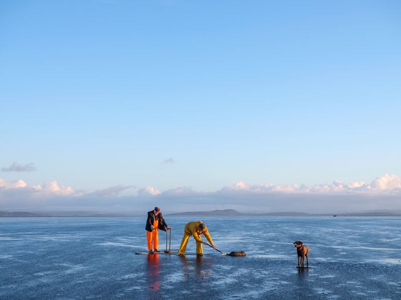 Two fishermen and their dog working on the sand on a clear day © Tessa Bunney