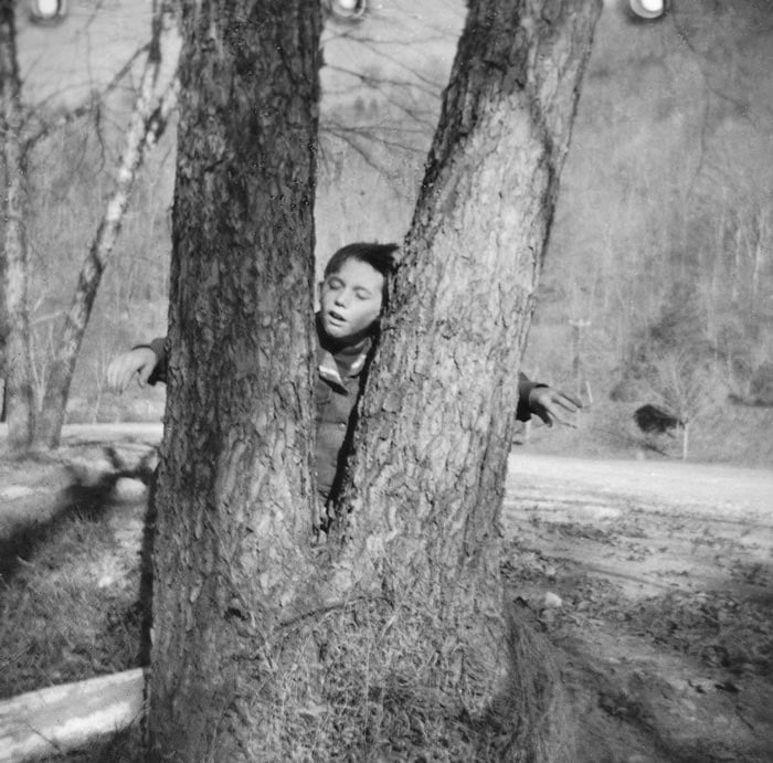 Photograph by Allen Shepherd of a boy pretending to be dead in a tree