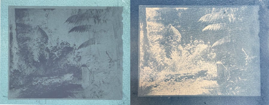 Mandy Simpson, Large format negative cyanotype print