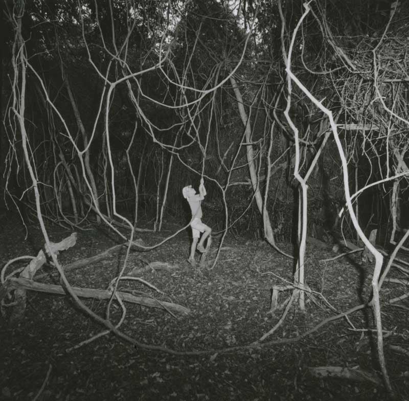 Extract from Nucleo by Wouter Van de Voorde - Child plays in the dark woods surrounded by branches